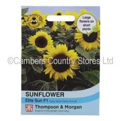Thompson & Morgan Sunflower Elite Sun F1